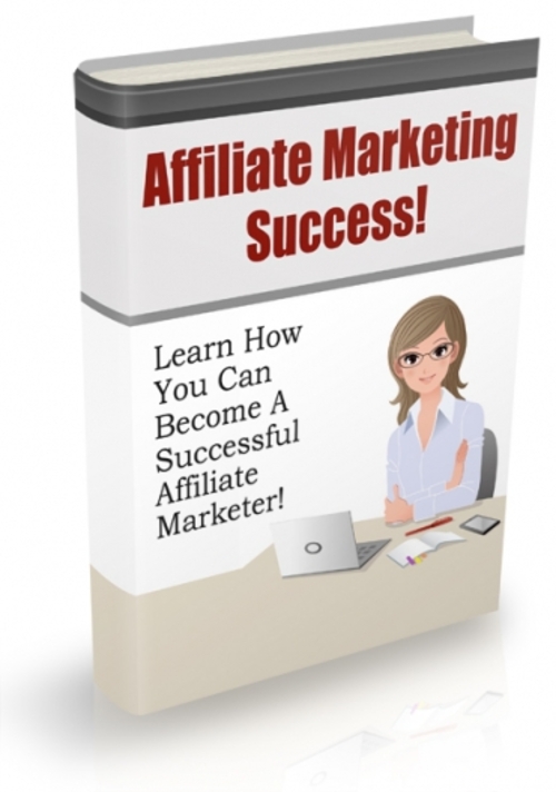 Product picture Affiliate Marketing Success 2013-2014